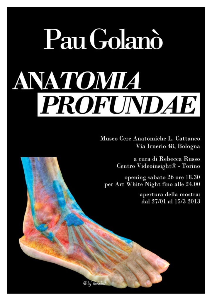 anatomia_profundae