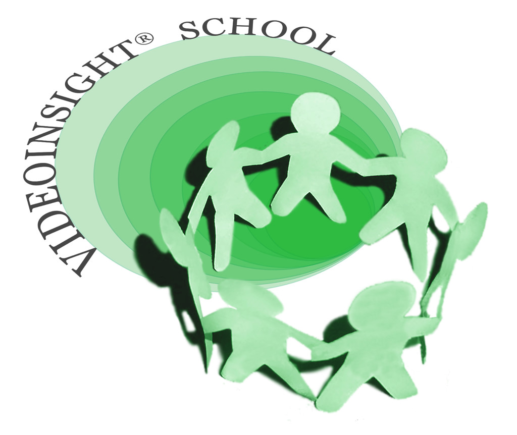 LOGO-VIDEOINSIGHT-SCHOOL